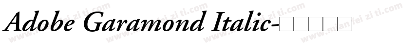 Adobe Garamond Italic字体转换